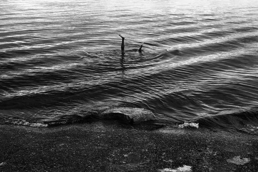 Guain铆a Black 3 Palazzo Pants