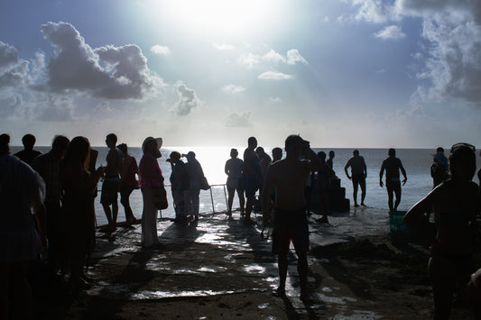 Pantal贸n Palazzo San Andr茅s