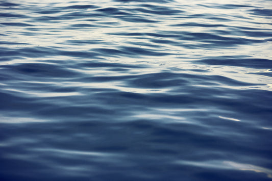 Blazer Contadora-San Andrés